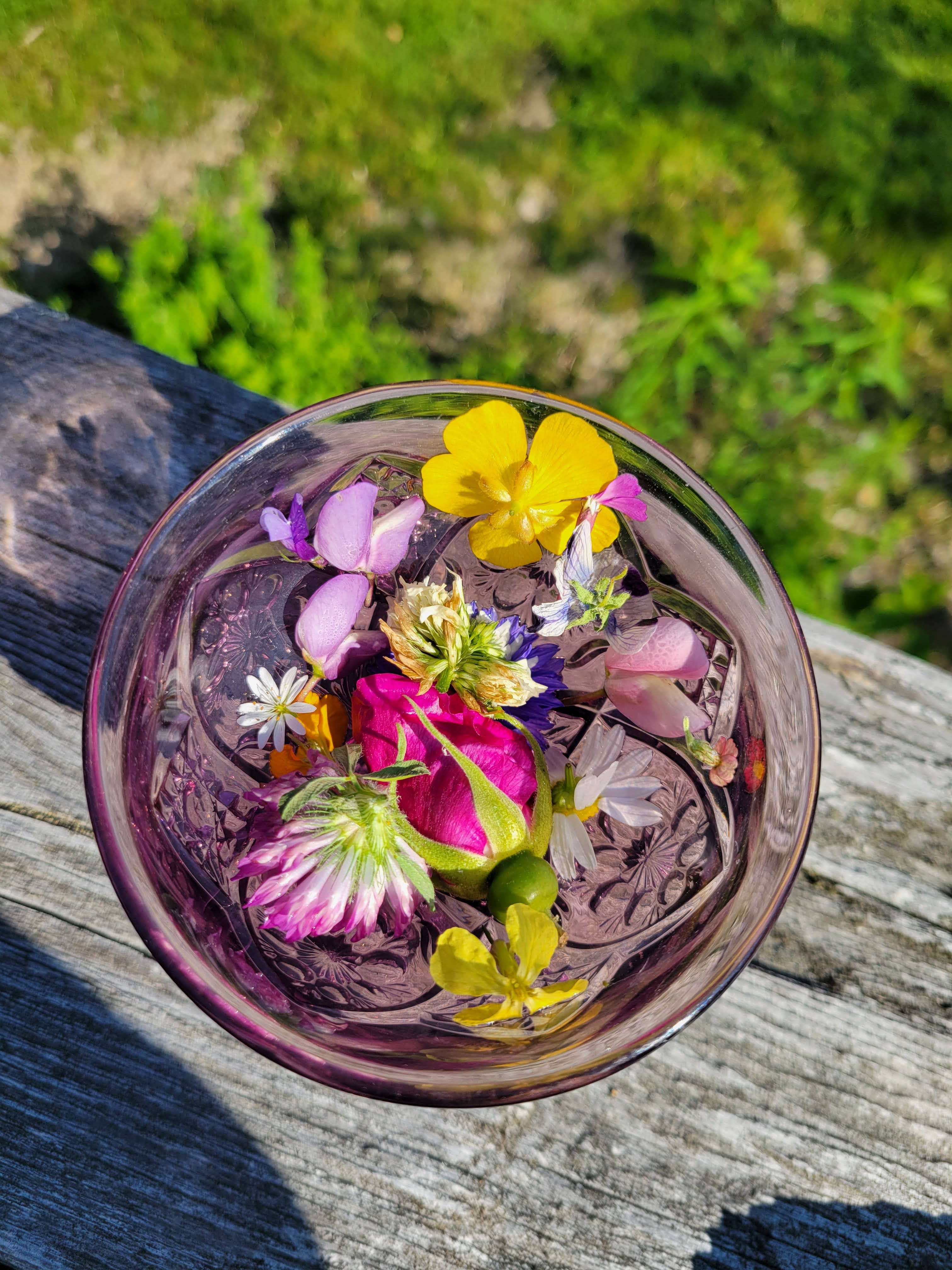 Summer Solstice Flower Essence by Cosmic Mother 1 fl oz