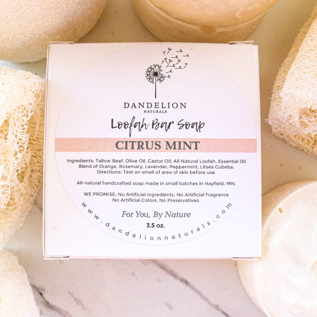 Tallow Loofah Bar Soap | Citrus + Mint by Dandelion Naturals 3.5oz
