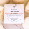 Tallow Loofah Bar Soap | Citrus + Mint by Dandelion Naturals 3.5oz