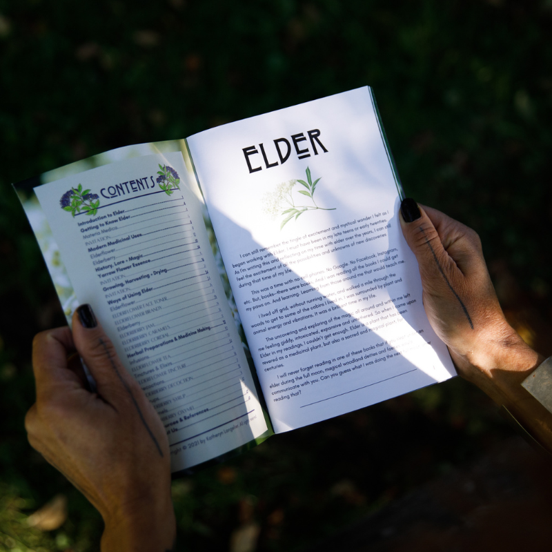 Herbal Medicine Making Zines by Herbalist Kathi Langelier