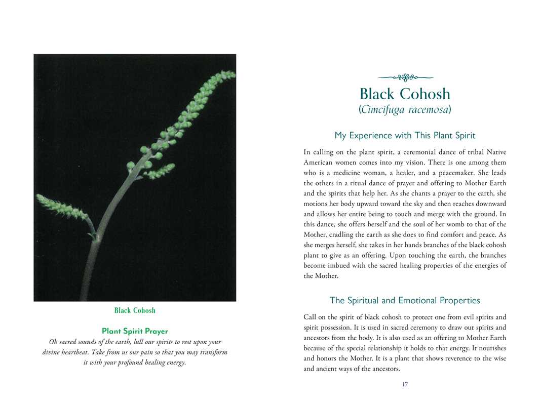 Divine Nature of Plants by Laura Aversano