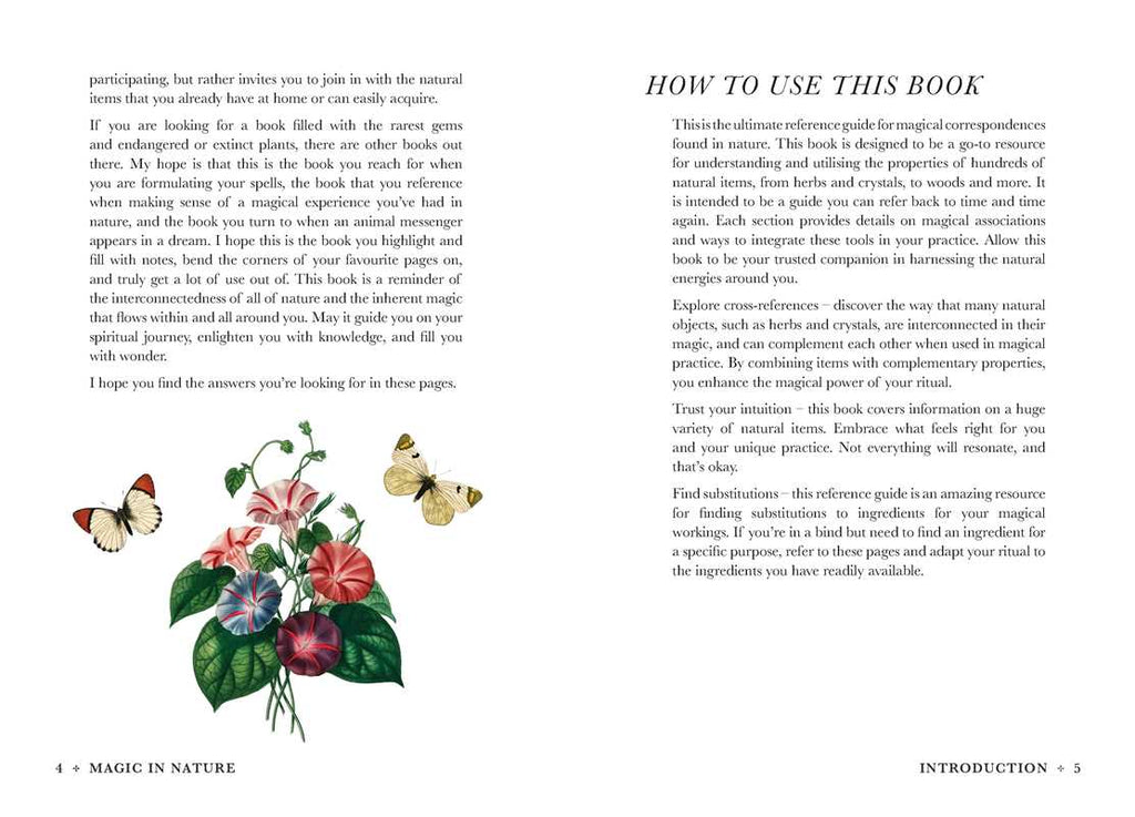 A Practical Guide to Magic in Nature by Jessica Lahoud