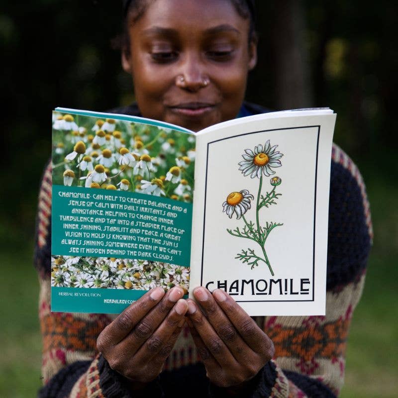 Herbal Medicine Making Zines by Herbalist Kathi Langelier