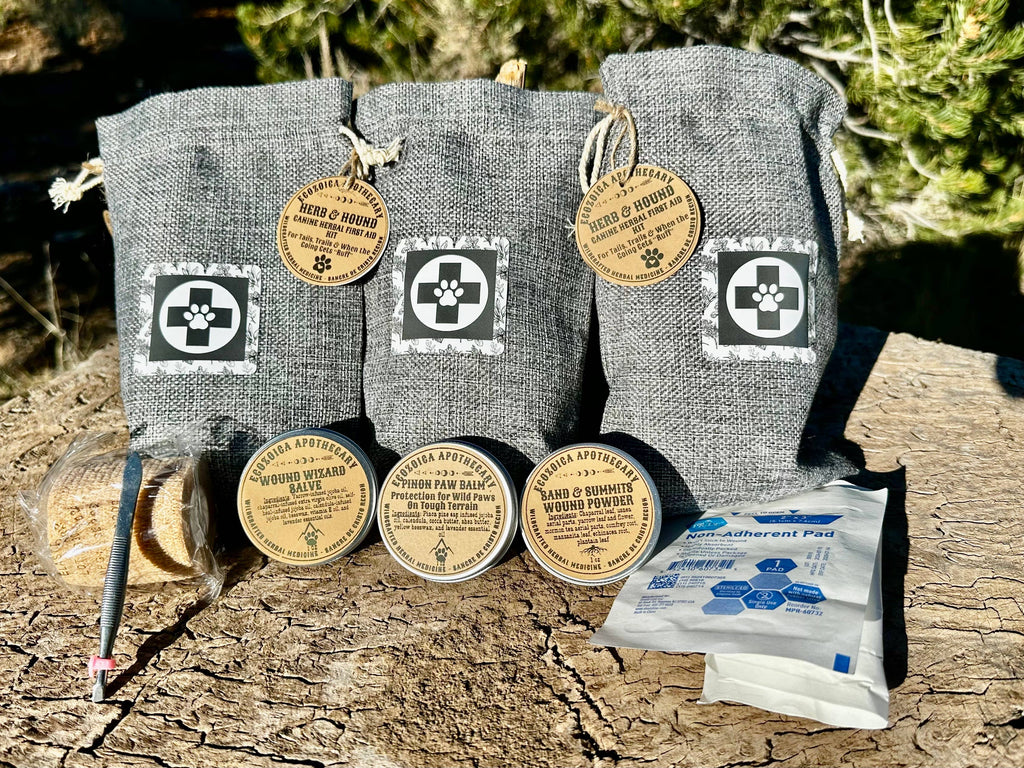 Herb & Hound First Aid Kit for Dogs by Ecozoica Apothecary, 1 kit, lots of benefits