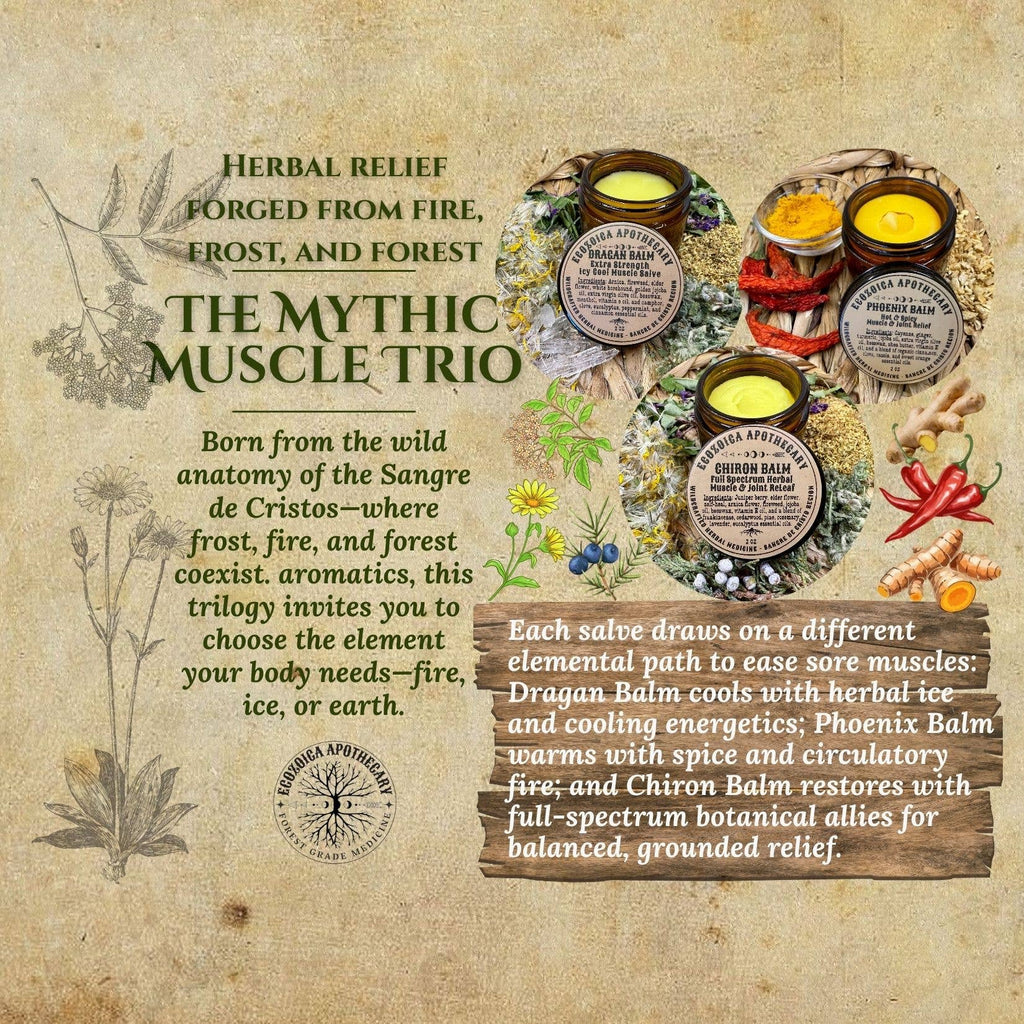 Phoenix Balm Hot & Spicy Muscle Salve by Ecozoica Apothecary 2oz
