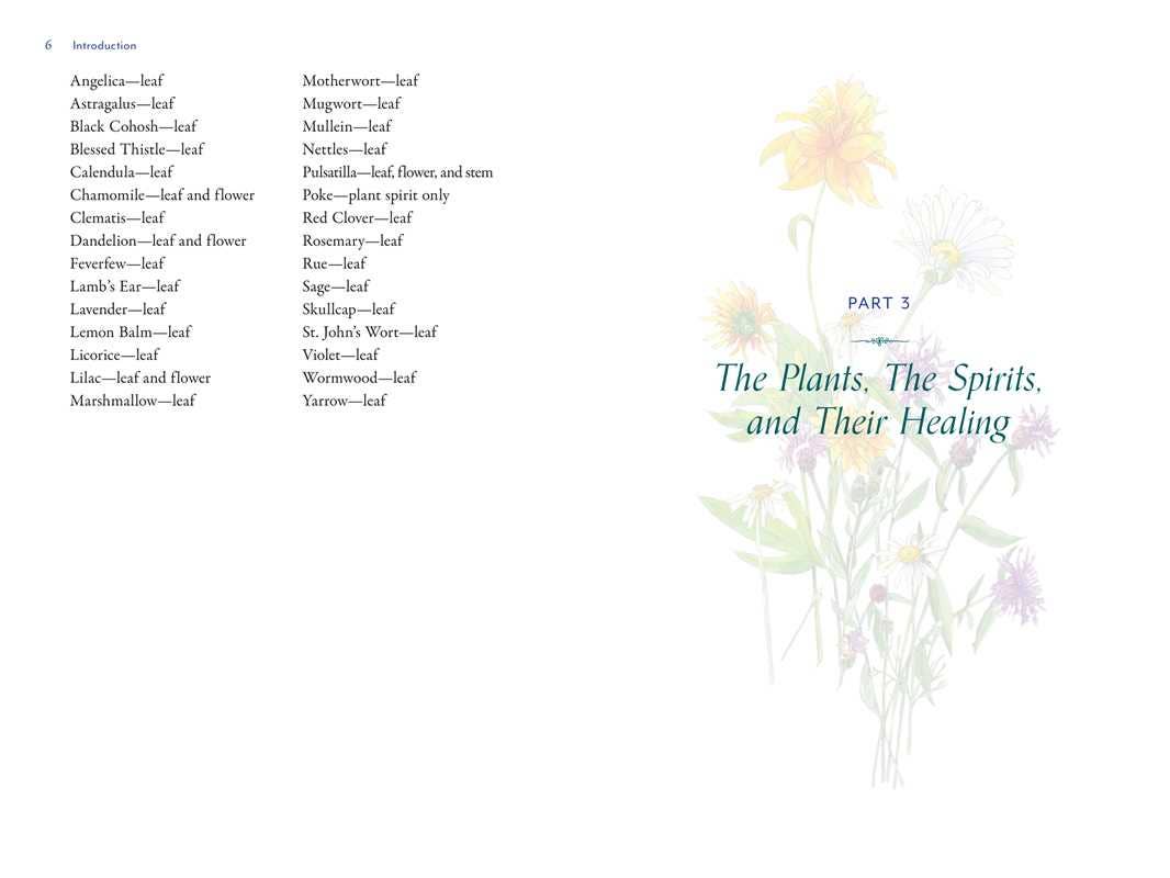 Divine Nature of Plants by Laura Aversano