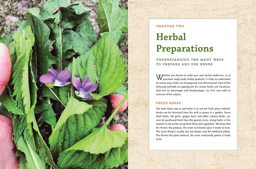Modern Herbal Dispensatory by Thomas Easley & Steven Horne